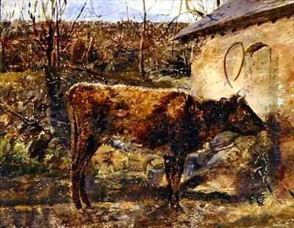 A Calf - view 1