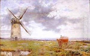 Wallasey Mill Cheshire