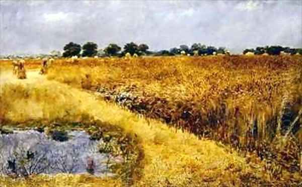 A Field of Corn - view 1