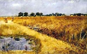 A Field of Corn by William Davis