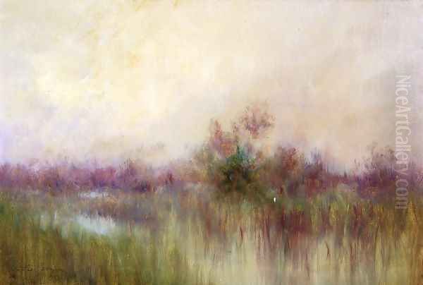 Early Morning ini a Louisiana Marsh - view 1