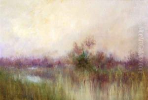 Early Morning ini a Louisiana Marsh by Alexander John Drysdale