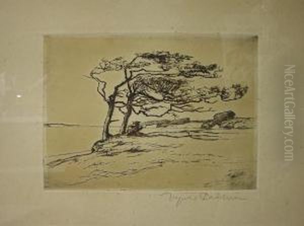 Baume In Nordfriesischer Landschaft - view 1