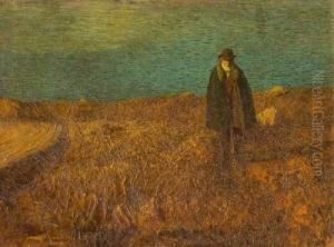 Passeggiata Tra I Campi