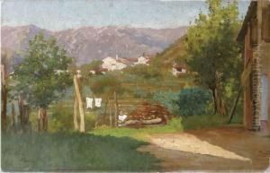 Mattino Di Sole Alle Falde Del Grappa