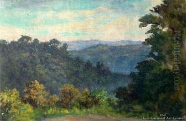Henderson Valley - view 1