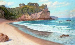 Falling Tide Near Whangamata