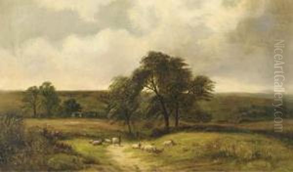 Summer Landscape With Sheep - view 1