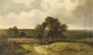 Summer Landscape With Sheep