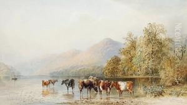 Cattle Watering At Lake Windermere - view 1