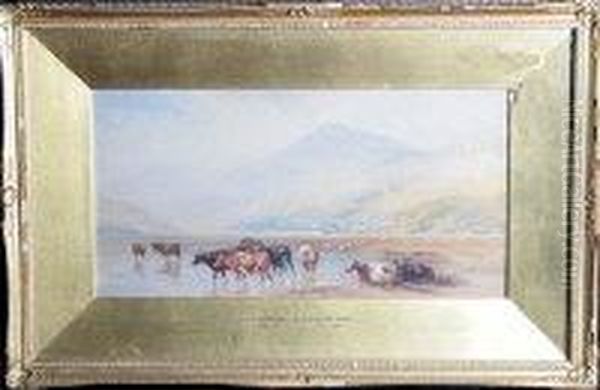 Cattle On The Shore Of A Lake - view 1