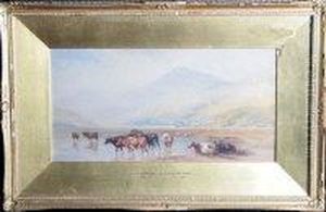 Cattle On The Shore Of A Lake by Cornelius Pearson