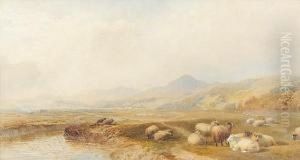 Harlech And Port Madoc, North Wales