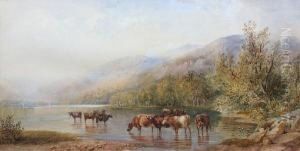 Cattle Watering By A Lake by Cornelius Pearson