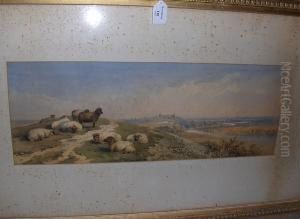 River Landscape With Sheep And Distantcastle by Cornelius Pearson