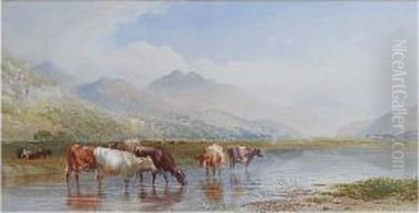 Cattle Watering - view 1