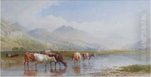 Cattle Watering by Cornelius Pearson