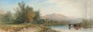 Cattle Watering In The Highlands by Cornelius Pearson