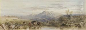 Cattle Watering At Dusk by Cornelius Pearson