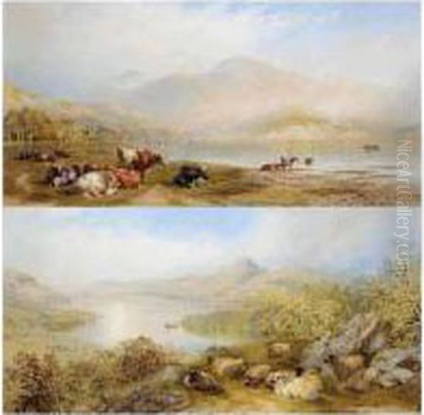 Cattle Resting At Loch Lomond; Loch Rannoch, Perthshire - view 1