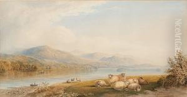 Sheep In A Lakeland Landscape - view 1