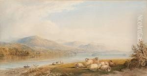Sheep In A Lakeland Landscape by Cornelius Pearson