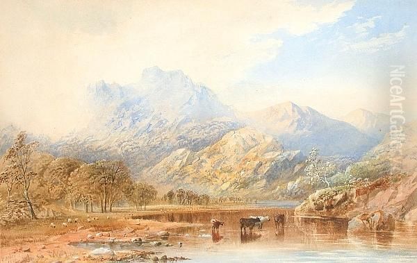 Cattle Watering In A Lakeland Landscape - view 1