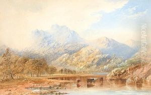 Cattle Watering In A Lakeland Landscape