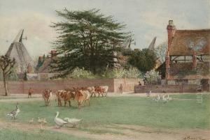 Cattle On A Village Green by John Pedder