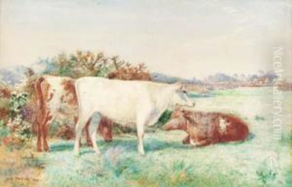 Cattle In A Meadow - view 1