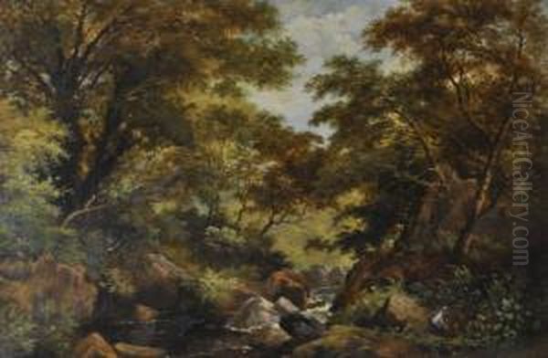 Rocky Streamthrough Woodland - view 1