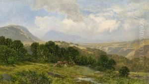 Sommerlandschaft