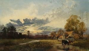 Cattle Watering By A Farm At Sunset Cattle Watering By A Farm At Sunset