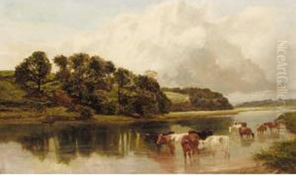 Cattle Watering - view 1
