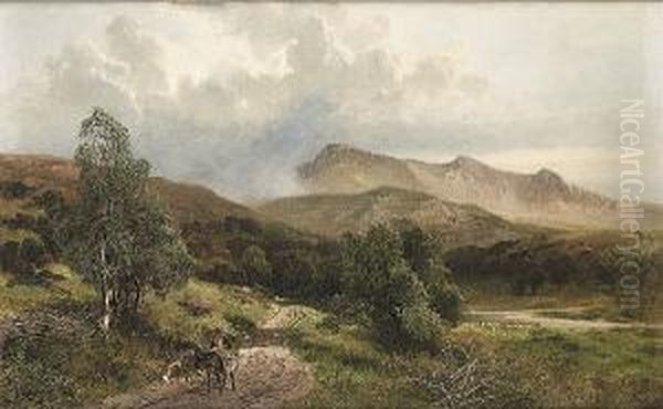 Cader Idris, N. Wales - view 1