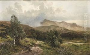 Cader Idris, N. Wales