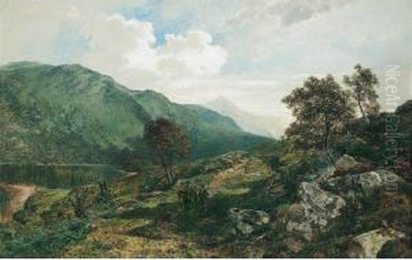 Loch Lomond - view 1