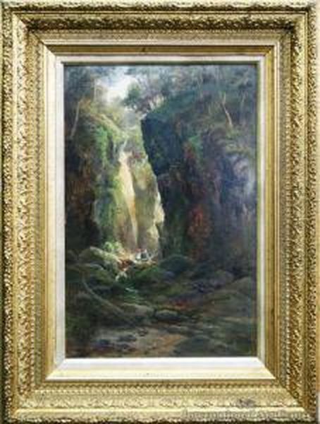 In Gorge Near Waterfall - Water Of Leithdunedin - view 1