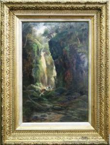 In Gorge Near Waterfall - Water Of Leithdunedin by James Peele