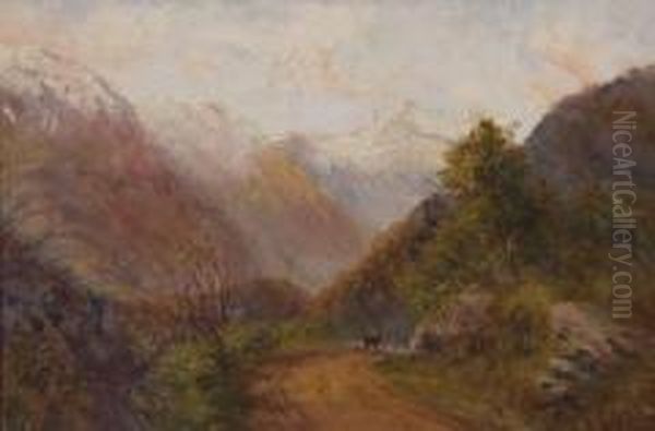 Otira Gorge - view 1