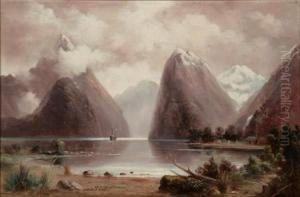Steamer On Milford Sound
