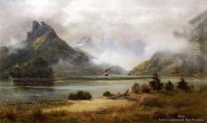 Steamship In Dusky Sound Steamship In Dusky Sound