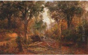 A Bush Track, Kanieri River, N.z. A Bush Track, Kanieri River, N.z.