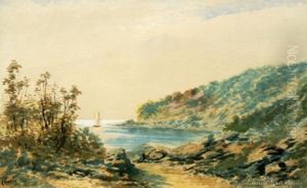 Doubtful Sound, Rose Hill - view 1
