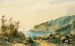 Doubtful Sound, Rose Hill