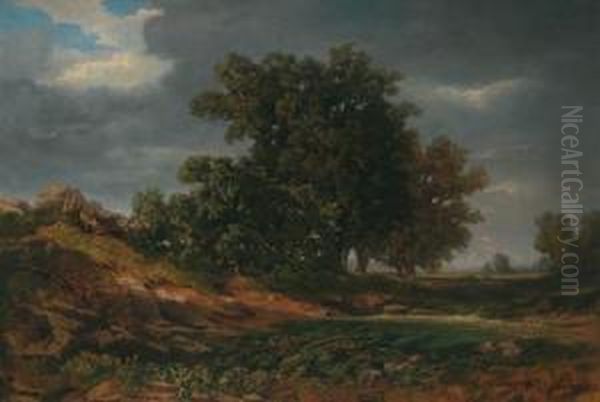 Open Landscape - view 1