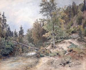 Waldstuck Mit Entwurzeltem Baum
