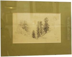 Gruppo Di Abeti In Montagna by Eduard Peithner Von Lichtenfels