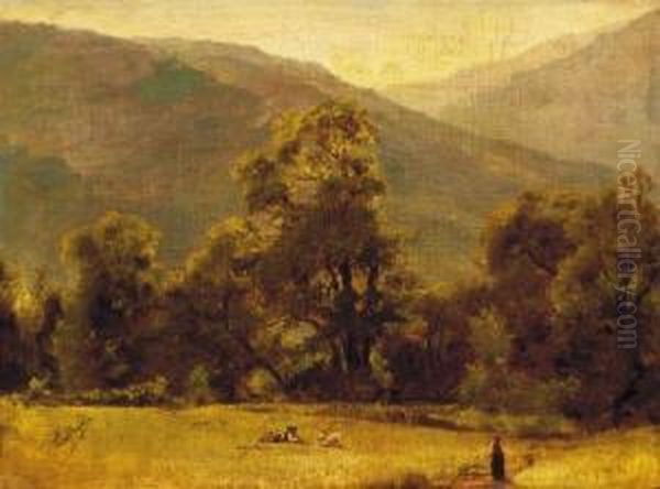 On The Clearing - view 1