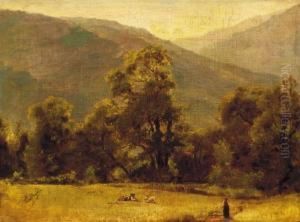 On The Clearing